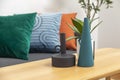 Modern Blue, green, and orange pillow on sofa in living room with olive tree in plant pot. Royalty Free Stock Photo