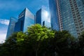 Modern blue skyscrapers and green trees