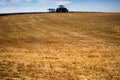 A modern blue tractor with an attached reversible plow with a husking roller is plowing a field on which the spring grain crop has Royalty Free Stock Photo