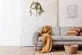 Modern boho interior of living room at cozy apartment with gray sofa. Royalty Free Stock Photo