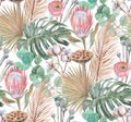 modern boho style pattern tropical dried flowers and a proteus flower are painted in watercolor