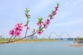 Modern bridge in the spring Royalty Free Stock Photo