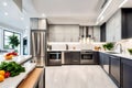 Modern, bright, clean, kitchen interior with stainless steel appliances in a luxury house Royalty Free Stock Photo