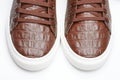 Modern brown leather sneaker pair shoes Royalty Free Stock Photo