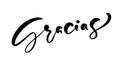 Modern brush calligraphy. Gracias hand written lettering. Thank you in spanish. Isolated on background. Vector illustration