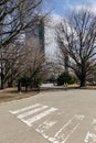 Modern building has rectangle and square windows form with clear blue sky, leafless trees and crosswalk in the foreground.