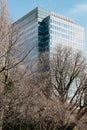 Modern building has rectangle and square windows form with clear blue sky and Leafless trees in the foreground in Sapporo.