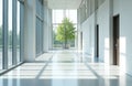 Modern building interior with large windows and a tree outside. Empty hall has natural light and shadows creating a calm Royalty Free Stock Photo