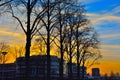 Modern building and silhouttes of trees