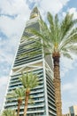 Modern buildings in the Al Olaya downtownt district with palms in the foreground, Al Riyadh Royalty Free Stock Photo