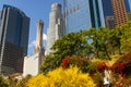 Modern buildings and blossom trees. Downtown Los Angeles, beautiful springtime