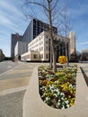 Buildings and flower bed  in downtown of city Fort Worth Royalty Free Stock Photo
