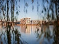 Modern buildings on a lakeside, view through weeping willow foliage. Royalty Free Stock Photo