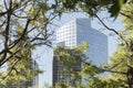 Modern buildings seen through tree branches in Puerto Madero, Buenos Aires Royalty Free Stock Photo