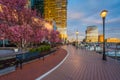 Modern buildings and the Waterfront Promenade in Harbor East, Baltimore, Maryland Royalty Free Stock Photo