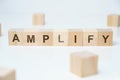 Modern business buzzword - amplify. Word on wooden blocks on a white background