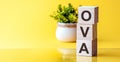 Modern business buzzword - OVA. Word on wooden blocks on a white background. Close up