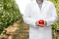 Modern business, eco harvest and fruit orchard, control organic crop at summer or autumn Royalty Free Stock Photo