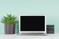 Modern business interior - workplace with blank computer display, black books, coffee cup, succulent potted plant in light green. Royalty Free Stock Photo