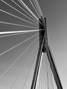 Modern Cable-Stayed Bridge in Black and White Royalty Free Stock Photo