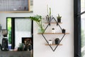 Modern cafe interior with shelfs white wall concrete