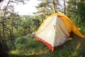 Modern camping tent in forest at summer, space for text. Fisheye lens effect Royalty Free Stock Photo