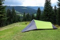 Camping tent near beautiful conifer forest