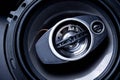 Modern car speaker close-up Royalty Free Stock Photo