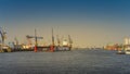Modern cargo port with many container cranes in Hamburg harbor during warm sunset, Germany