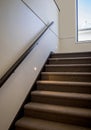 Modern carpeted staircase with wooden hand rail and night lighting