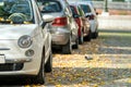 Modern cars parked on city street side in residential discrict. Shiny vehicles parked by the curb. Urban transportation