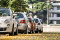 Modern cars parked on city street side in residential discrict. Shiny vehicles parked by the curb. Urban transportation