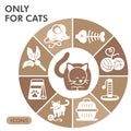 Modern cat Infographic design template. Kitty inphographic visualization with nine steps doughnut design on brown