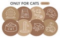 Modern cats Infographic design template. Kitty toys inphographic visualization with eight steps circle design on brown Royalty Free Stock Photo