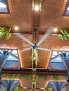 Stylish Modern Ceiling with Woven Panels, Greenery and Moving Fan Royalty Free Stock Photo