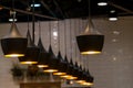 Modern ceiling lamp interior lighting bulbs office building or home and living decoration