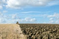 Modern Challenger tractor ploughing English crop field