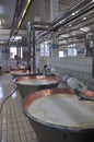Modern cheese factory - Parmigiano Reggiano dairy production site
