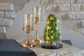 Modern christmas decoration table display. Cute little festive glas Cloche filled with green hydrangea flowers Royalty Free Stock Photo