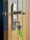 Modern chrome door handle on wooden door with lock and keys