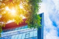 Modern city Eco office building with tree plant for ozone air purify and sun heat protection help saving energy Royalty Free Stock Photo