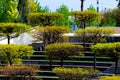 Modern city park with with different trees. Public relax place in big city