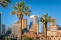 Modern cityscape skyline with skyscrapers and historic buildings with palm trees Royalty Free Stock Photo