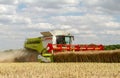 Modern claas combine harvester cutting crops