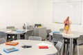 Modern classroom interior, with round tables. Anatomy model and the white board in the background