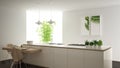 Modern clean contemporary white kitchen, island and wooden dining table with chairs, bamboo and potted plants, big window and Royalty Free Stock Photo