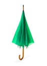 Modern closed green umbrella on white