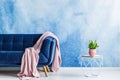 Modern coffee table, plant in a pink pot and sofa with a blanket