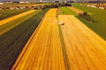 A modern combine harvester working a wheat field, aerial view Royalty Free Stock Photo