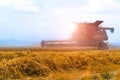 A modern combine harvester working a wheat field. Harvest time. Agricultural sector Royalty Free Stock Photo